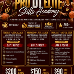 Pro D1 Elite Skills Academy